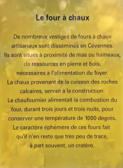Thoiras_24_12-80b