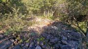Thoiras_24_12-82