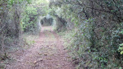 Thoiras_24_12-83