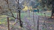 Thoiras_24_12-9
