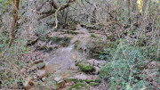 Thoiras_24_12-93