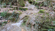 Thoiras_24_12-94