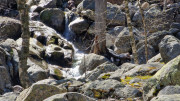 Nino_24_04-27