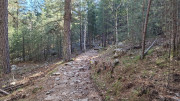 Nino_24_04-3