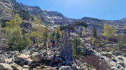 Nino_24_04-37