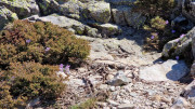 Nino_24_04-52