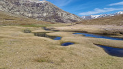 Nino_24_04-75