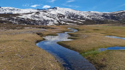 Nino_24_04-78