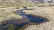 Nino_24_04-79