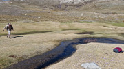 Nino_24_04-81