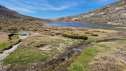 Nino_24_04-85