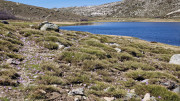 Nino_24_04-86