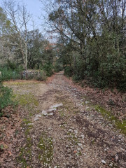 Arpaillargues_24_02-11