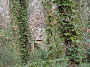 Arpaillargues_24_02-12