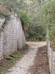 Arpaillargues_24_02-85