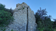 Asperes_24_11-115