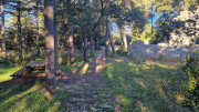 Asperes_24_11-13