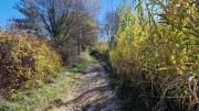 Asperes_24_11-150