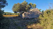 Asperes_24_11-24
