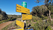 Asperes_24_11-43