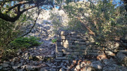 Asperes_24_11-49