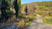 Asperes_24_11-5