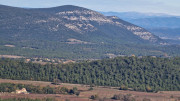 Asperes_24_11-65