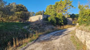 Asperes_24_11-7