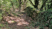 Fage_24_09-102