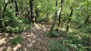 Fage_24_09-106