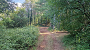 Fage_24_09-107