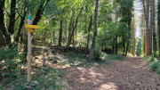 Fage_24_09-108