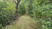 Fage_24_09-11