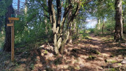 Fage_24_09-110
