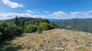 Fage_24_09-117