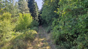 Fage_24_09-142