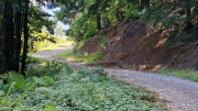 Fage_24_09-147