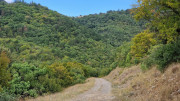 Fage_24_09-19