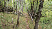 Fage_24_09-22
