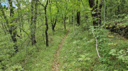 Fage_24_09-26