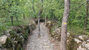 Fage_24_09-48