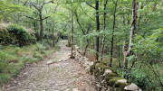 Fage_24_09-50