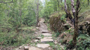 Fage_24_09-54