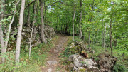 Fage_24_09-60