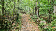 Fage_24_09-61