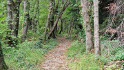 Fage_24_09-62