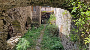 Fage_24_09-71
