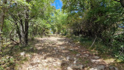 Fage_24_09-75
