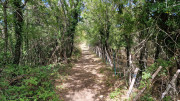 Fage_24_09-76