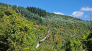 Fage_24_09-79